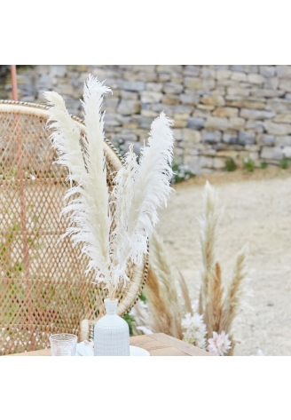 Ginger Ray PAM-543 Pampas Grass Weiß ()