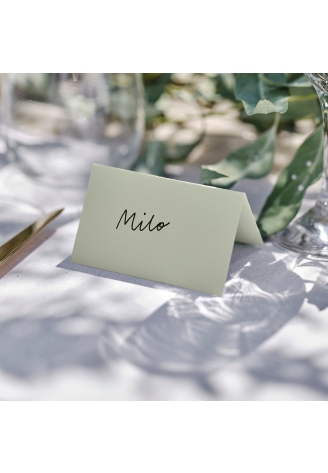 Ginger Ray SW-844 Sage Wedding Tischkarten ()