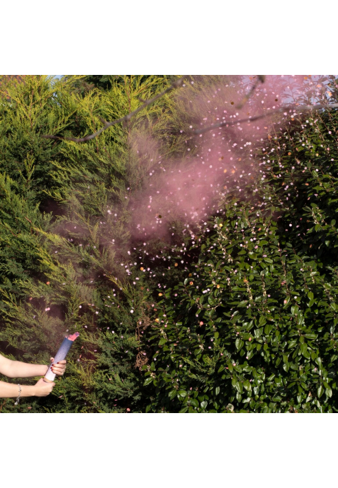 Ginger Ray GR-132 Gender Reveal Puderkanone Rosa ()