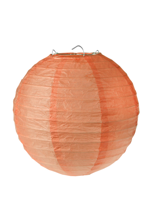 Laternen Koralle 20 cm