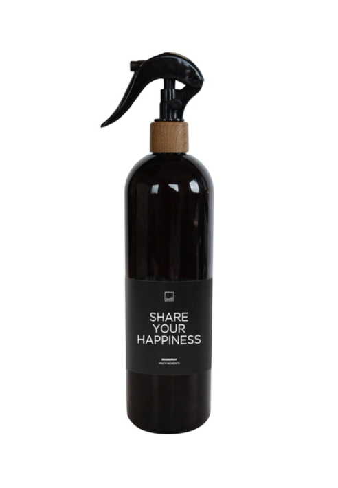 Leeff 18241 Raumspray Minty Moments, Schwarz ()