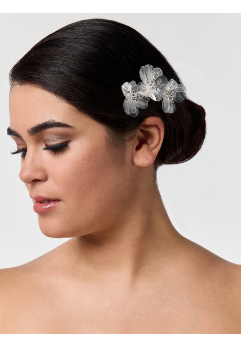 Poirier BB-75025 Haarkamm Silber ()