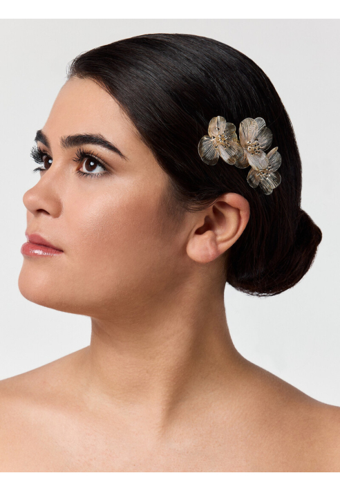 Poirier Haarkamm BB-75025 Gold ()