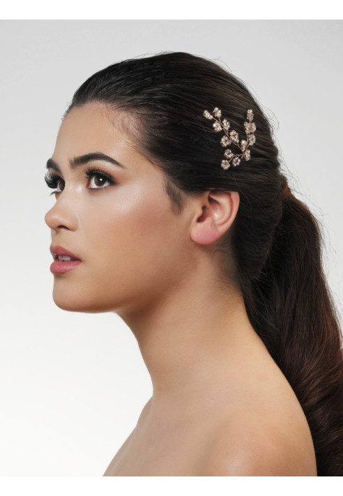 Poirier BB-274 Haarnadeln ()