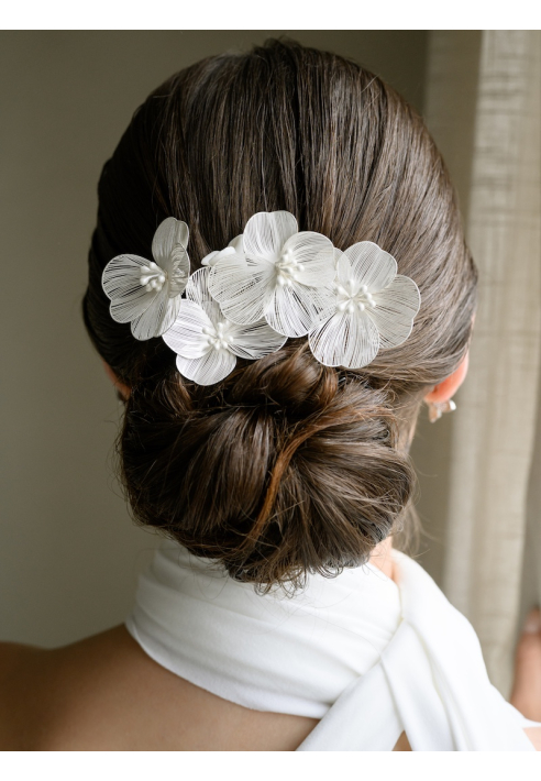 G. Westerleigh HC0416S Haarkamm ()