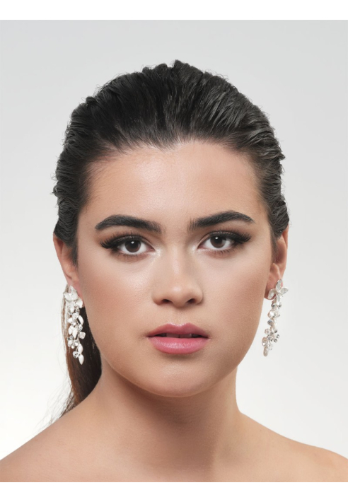 Poirier NC-1334 Ohrringe Silber ()