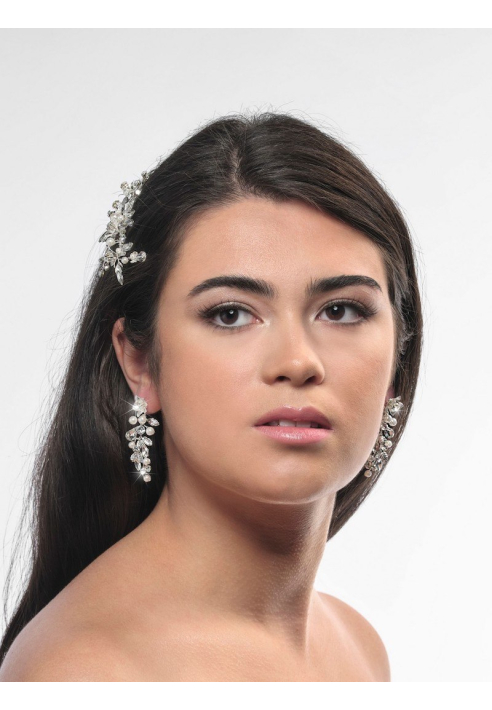 Poirier NC-1324 Ohrringe Silber ()