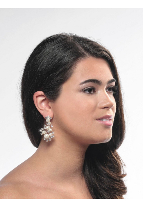 Poirier NC-1338 Ohrringe Silber ()