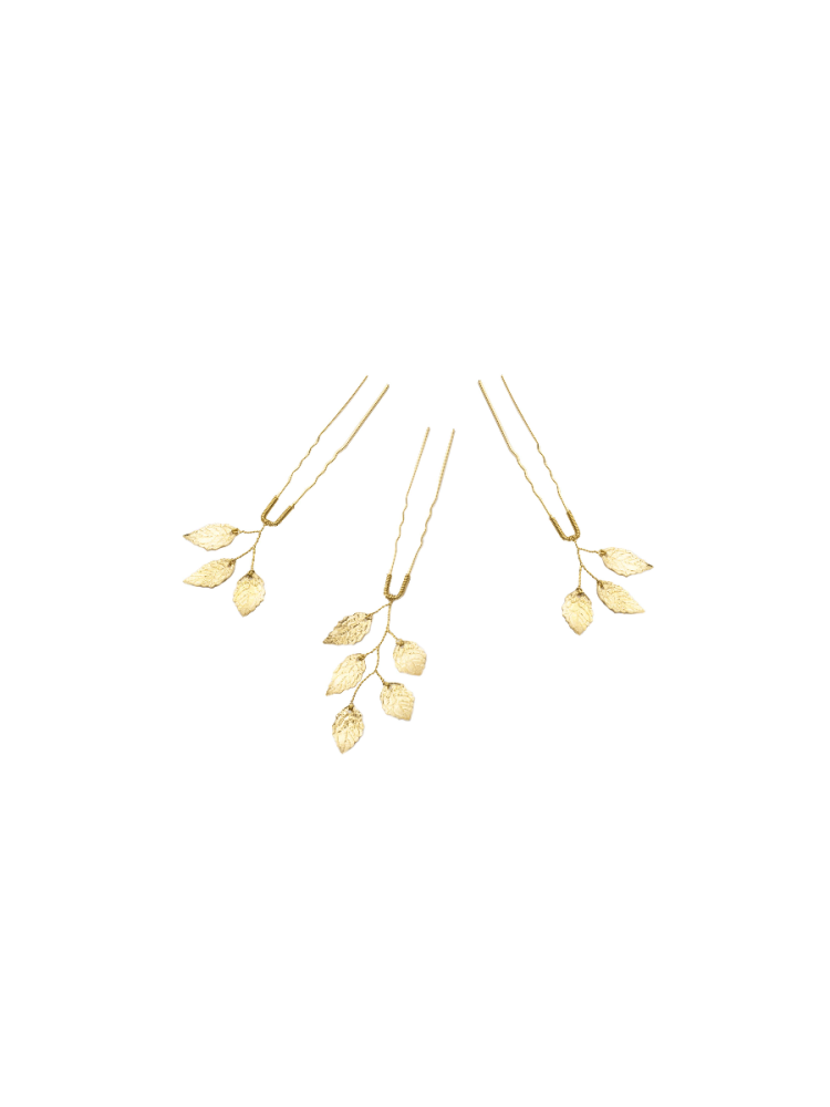 abrazi Haarnadeln HS-LF-Gold main product photo