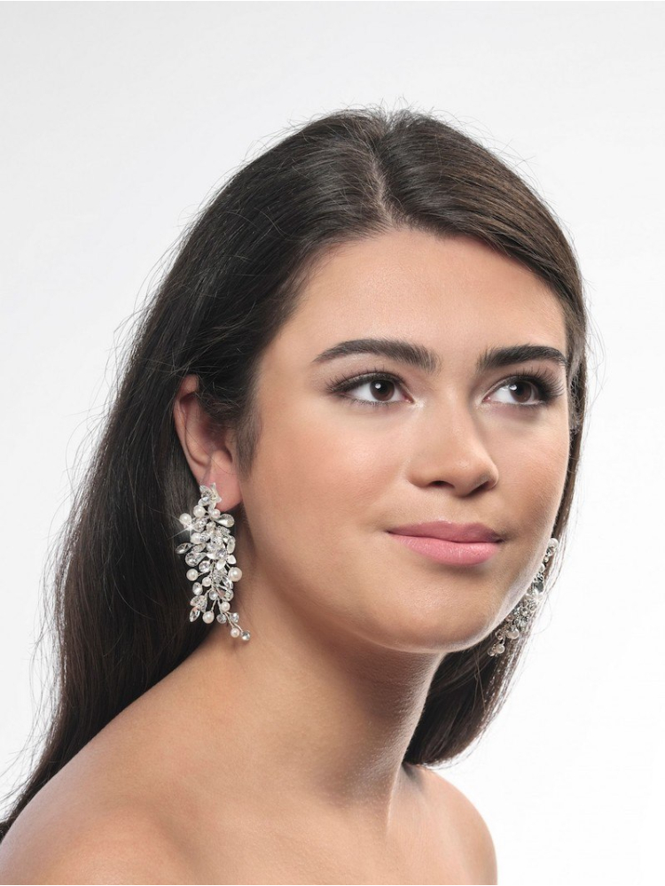 Poirier NC-1323 Ohrringe Silber main product photo