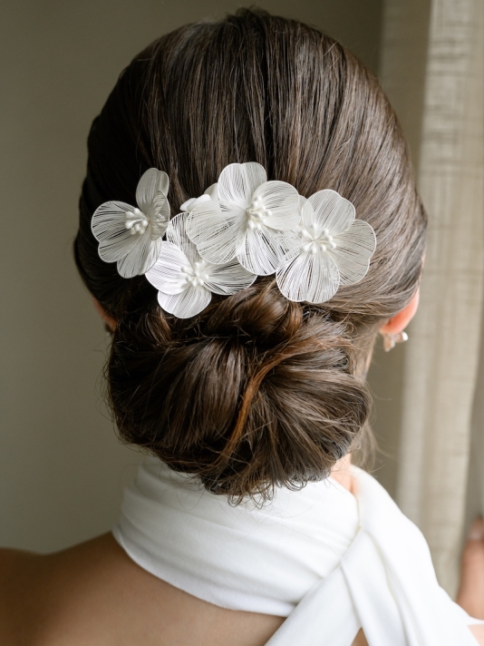 G. Westerleigh HC0416S Haarkamm main product photo