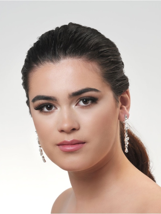 Poirier NC-1333 Ohrringe Silber  main product photo