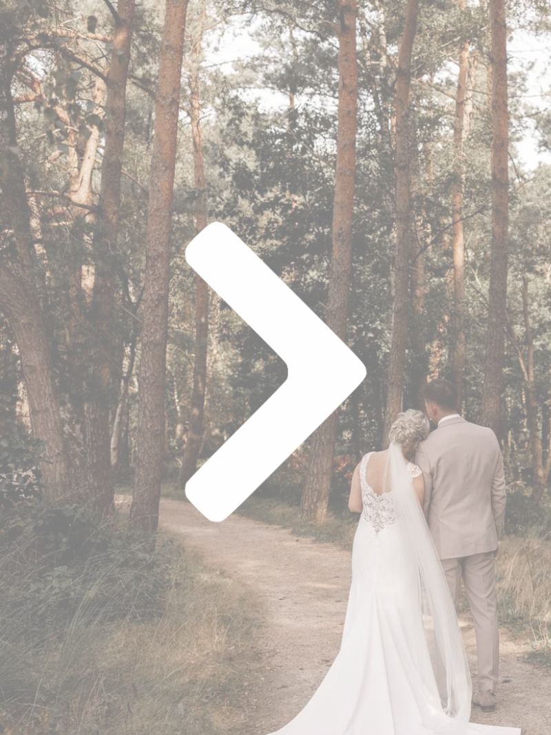 Bruidskapsels Inspiratie Alle